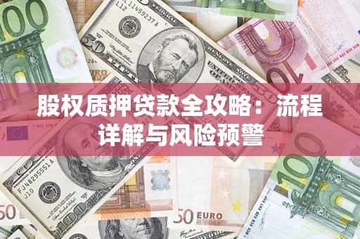 北京股权质押贷款全攻略：流程详解与风险预警