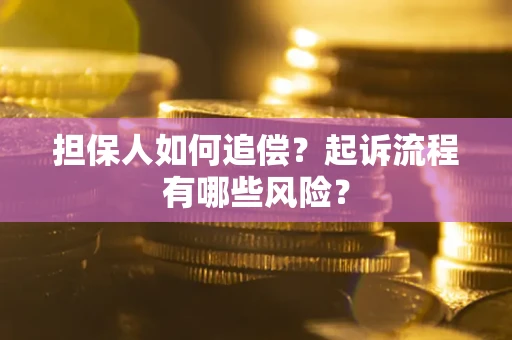 北京担保人如何追偿？起诉流程有哪些风险？