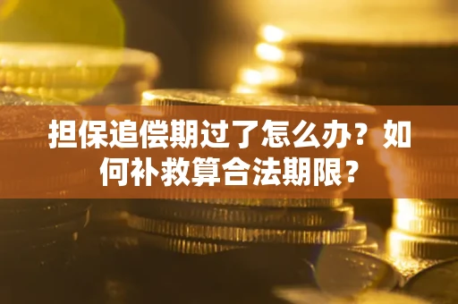 北京担保追偿期过了怎么办？如何补救算合法期限？