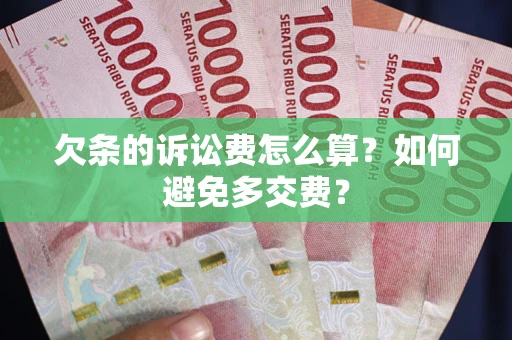 北京欠条的诉讼费怎么算？如何避免多交费？